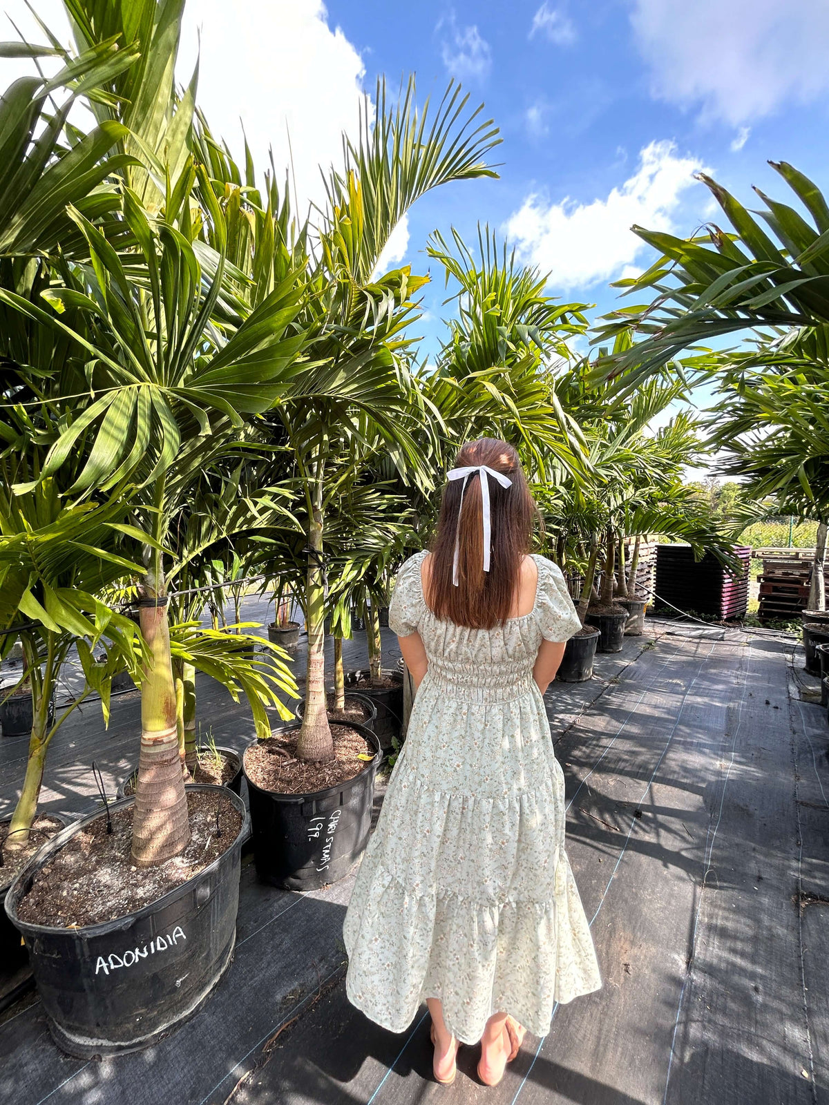 Floral Midi dress back view