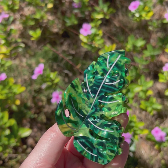 Monstera Leaf Claw Clip Green Video