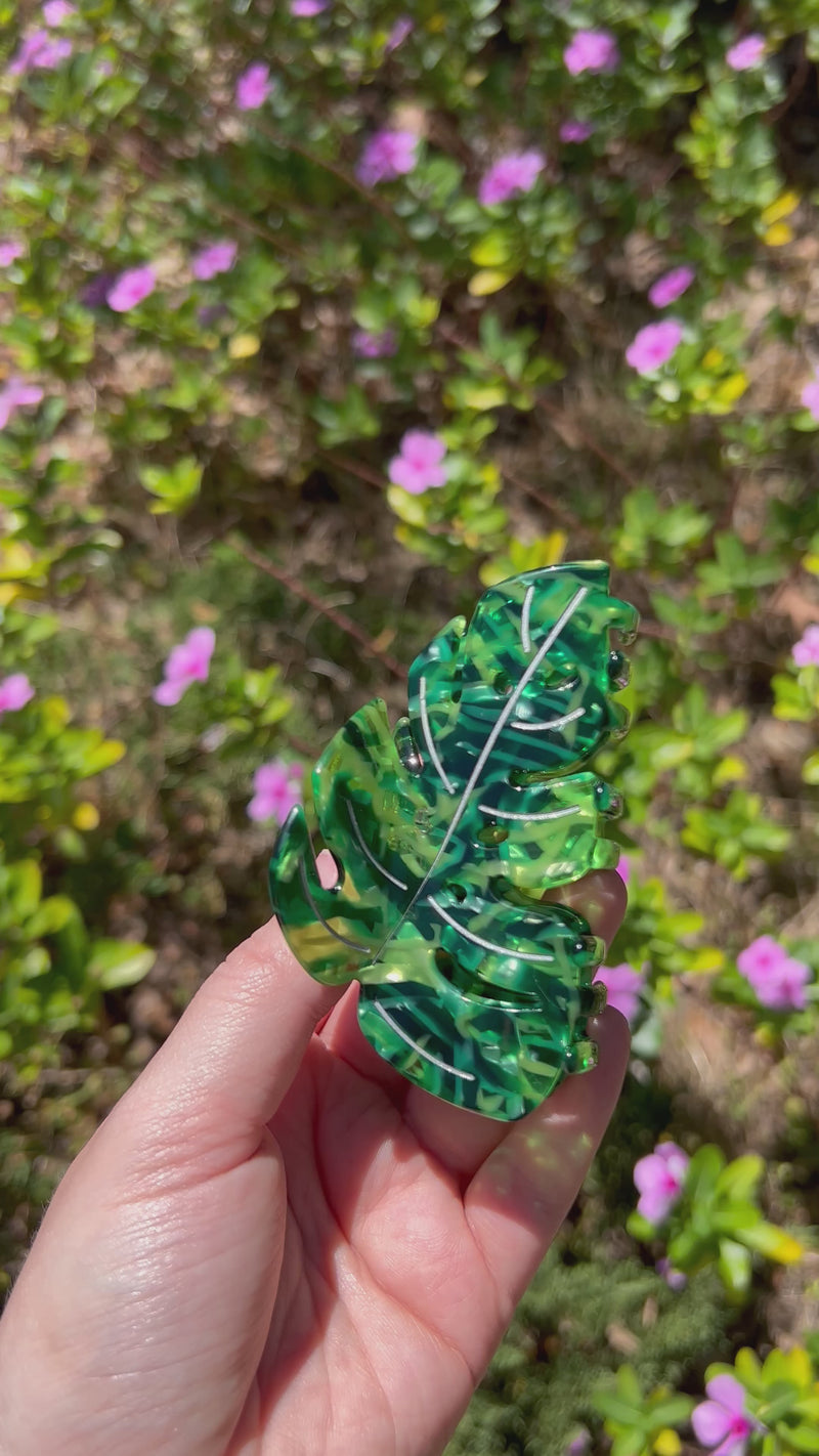 Monstera Leaf Claw Clip Green Video
